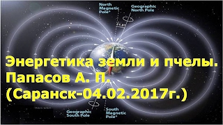 Энергетика земли и пчелы. Папасов А. П. (Саранск-04.02.2017г.)