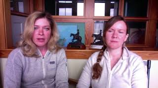 Bald Eagle Magna Wave PEMF treatments by True North Equine