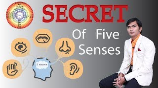 जानिए की हमारी 5 senses कैसे हमें समृद्ध बना सकती हे.