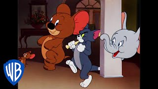 Tom y Jerry en Español | Jerry y Jumbo forman un equipo