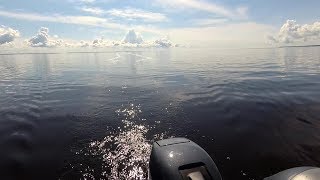 Рыбалка на Кубенском озере 07.07.19.