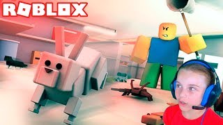 ПОБЕГ ПИТОМЦЕВ в Roblox игра Pet Escape в Роблокс