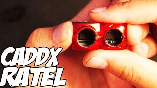 Лучшая камера до 30$? Или обычный среднячок? [Caddx Ratel]