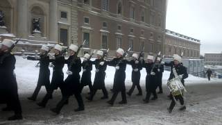 Смена караула в Королевском дворце в Стокгольме