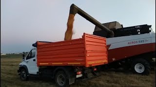 Farming simulator 19.Бригада играет на карте "СОВХОЗ РАССВЕТ".Начало.Смотрим село.Прямой эфир