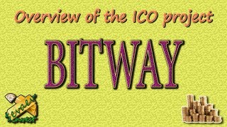 BITWAY / ICO overview of the company.