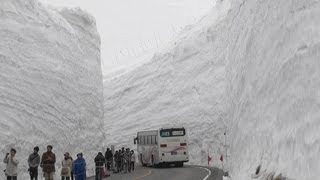 [Huge Valley of Snow in Tateyama] 立山・雪の大谷ウォーク 高さ17mの雪壁 2012.4.30