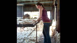 Im Sexy and I Shear It!!