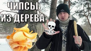 ЧИПСЫ ИЗ ДЕРЕВА  - Выжить на 200р