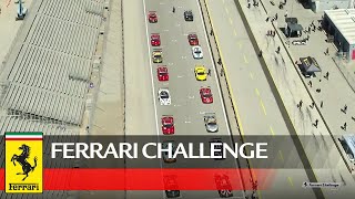 Ferrari Challenge North America – Laguna Seca 2020, Coppa Shell AM Race 2