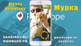Перископ Алексей Вшивцев - Мурка (sax cover) / Periscope & action-camera