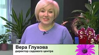 Дачные советы с Галиной Старосельцевой Февраль 15-2018