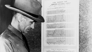 Harry T. Gisborne profile