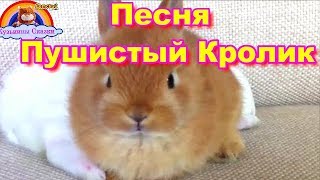 Детская Песня Пушистый Кролик-Мультик-Сказка=Детям от 1 года