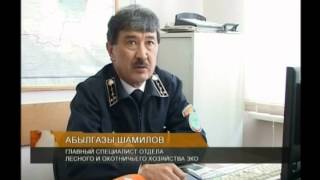 В текущем году в Западном Казахстане возможна отмена весенней охоты на уток и селезней