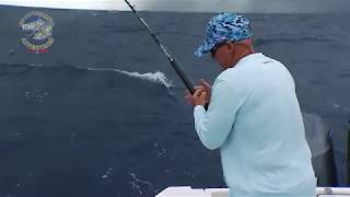 Reef Fishing In Venice Preview | Sportsman's Adventures 2018 - Season 24
