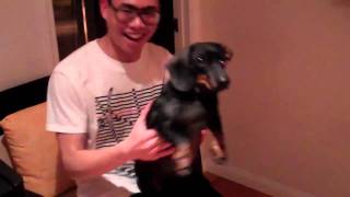 Jet Li's dog