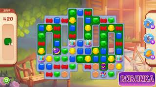 Homescapes level 2567 HD