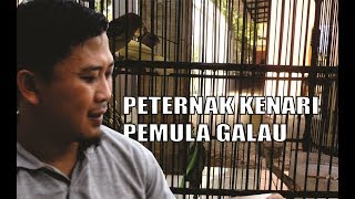 PUSAT PERMASALAHAN BAGI PARA PETERNAK KENARI PEMULA #SuksesTernakKenari