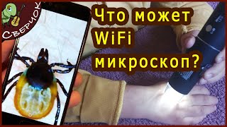 Обзор WiFi USB микроскопа. Качественный микроскоп с Алиэкспресс.