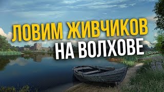 РУССКАЯ РЫБАЛКА 4. Запасаюсь живцами =) Уклейка на Волхове