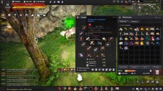 BLACK DESERT / Камасильва, карнак бдо, свиток призыва вождя маншару - убиваем 10 шт анализируем дроп
