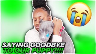 SAYING GOODBYE TO OUR PUPPY!!! **EMOTIONAL**