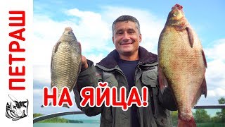 Ловля КАРАСЯ и ЛЕЩА на ЯЙЦА! Рыбалка в конце лета