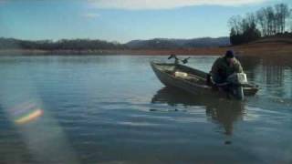 15hp Evinrude Fly By