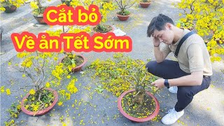 Đau lòng chợ Hoa ngày tết Trưa 30 tết nhà Vườn cắt bỏ về ăn tết sớm | Saigon Travel
