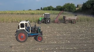Силосування Кукурудзи