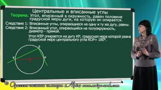 Вписанные и центральные углы