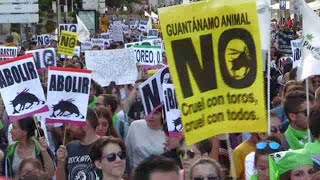 Miles de personas piden valentía política para prohibir los festejos taurinos