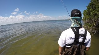 Let's Explore...  (Wade Fishing)