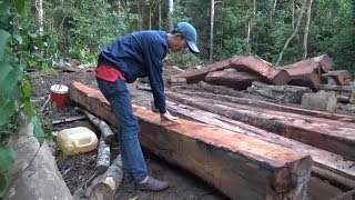 Phát hiện vụ phá rừng nghiêm trọng tại Đác Lắc