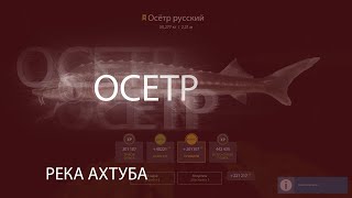 РР4! RF4! Русская Рыбалка 4! Река Ахтуба - Осетр
