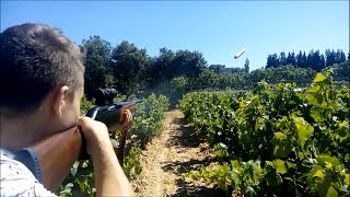 Carabine de battue MERKEL SR1 7x64 tests de tirs et analyses [HD]
