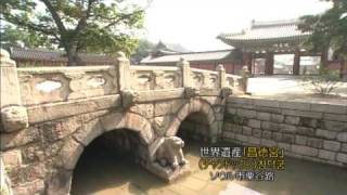 チャングムの世界　#07 昌徳宮 창덕궁
