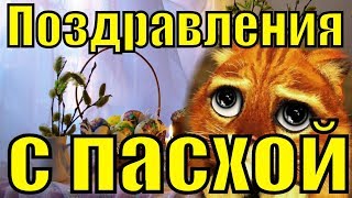 Поздравления с пасхой 2018 лучшее прикольное видео поздравление с Пасхой красивое короткое новое