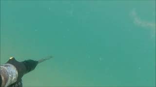 Подводная охота, Анапа, ст.Благовещенская.