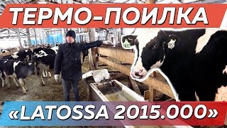 ТЕРМО ПОИЛКА для КРС в -30 ГРАДУСОВ