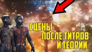 ЧЕЛОВЕК МУРАВЕЙ И ОСА - ТЕОРИИ, РАЗБОР СЦЕН ПОСЛЕ ТИТРОВ/ КАК ЧЕЛОВЕК-МУРАВЕЙ ПОБЕДИТ ТАНОСА?