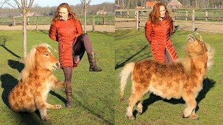 TRAINING MY PONY WITHOUT HANDS [FLIP]