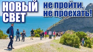 Крым. Вид на миллион! Новый Свет. Толпы на мысе Капчик! Можжевеловая роща и море. Отдых в Крыму 2019
