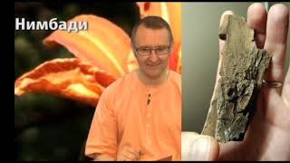 Нимбади - комплексное средство Аюрведы для кожи и не только