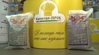 Правильное кормление коров и телят