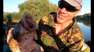 Астрахань Подводная охота 2019 Аэросъемка