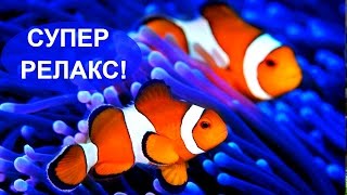 Музыка Релакс. Лучшая Успокаивающая Музыка! Красивая Музыка Рейки