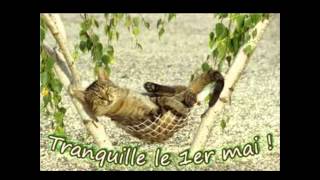 C'EST LE MAI