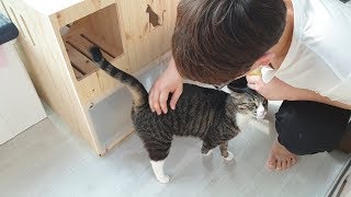 고양이 화장실을 샀어요! 아기와 함께 택배 뜯기와 봄맞이 대청소까지!